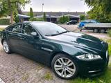 Jaguar XJ 3.0D aus 2010 mit neuen Ganzjahr... - gebrauchte Jaguar XJ aus dem Jahr 2010