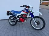 Honda XL600R - HONDA XL 600