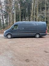 Mercedes-Benz Sprinter W 906 316 CDi  - Angebote entsprechen deinen Suchkriterien