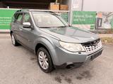 Subaru Forester Comfort*Panorama-Dach*SHZ*Klima* - Subaru Forester Gebrauchtwagen