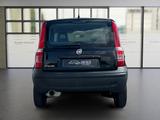 Fiat Panda 1.1 8V Active *E-PAKET*ALLWETTER*AUX*TÜV* - Fiat Panda: Active