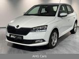 Skoda Fabia Active Cool Plus 1.0 MPI*KLIMA*PDC*SHZ*ALU - Skoda Fabia Active mit Benzin-Antrieb
