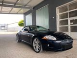 Jaguar XK 3.5L V8 Cabriolet -Navi Xenon Leder 20" Alarm - Jaguar: 8