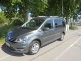 Volkswagen Caddy PKW Maxi Highline BMT 4Motion 1.Hand 65´KM - : Standheizung, Pkw