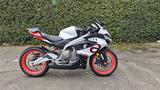 Aprilia RS 457 - APRILIA RS 457