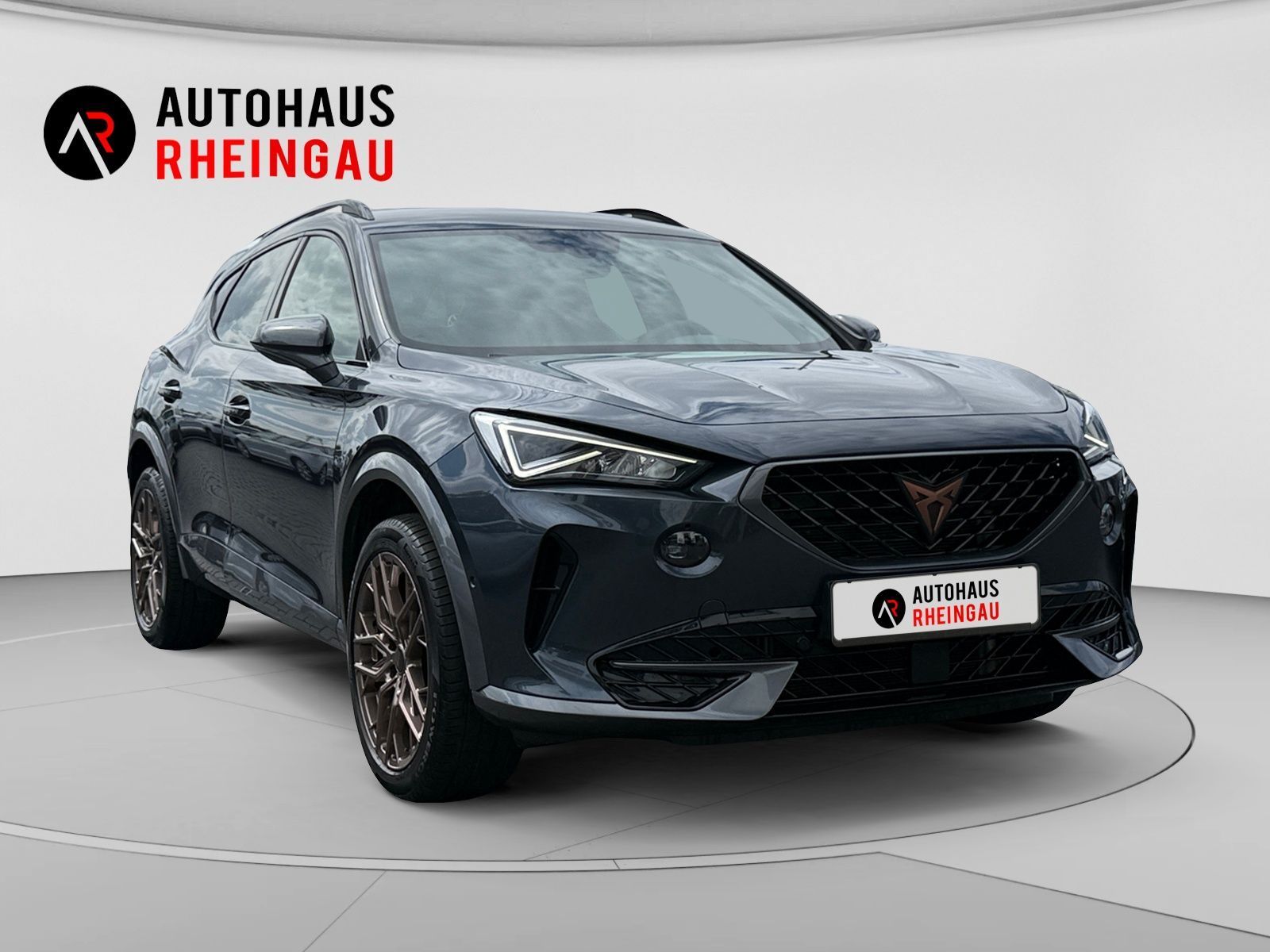 Fahrzeugabbildung CUPRA Formentor 2,0 TDI 4Drive DSG ACC RFK MEMORY