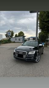 Audi SQ5 3.0 TDI tiptronic quattro- Servic... - Audi SQ5 in Ludwigshafen