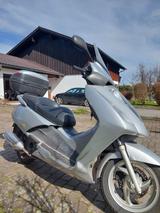 Honda Pantheon 125 - Angebote