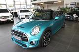 MINI Cooper S Cabrio John Cooper Works/Park-Assistent - MINI MINI: Cabrio, Works