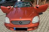 Mercedes-Benz SLK 320 - Rarität - Designio Orange - Mercedes-Benz SLK 320 in Bielefeld