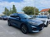 Ford FORD KUGA 1.5 ECOBLUE 2WD ST-LINE X - Ford Kuga mit Diesel-Antrieb: Kombi, Automatik