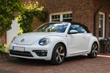 Volkswagen Beetle 1.2 TSI BMT Cabriolet SOUND - Volkswagen Beetle in Hannover