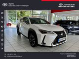 Lexus UX 250h Style Ed. 2,0l *LED*ACC*KAMERA* MJ2023 * - Lexus UX aus 2023