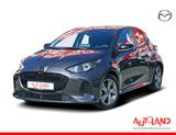 Mazda 2 1.5 Hybrid Exclusive-Line ACC Totwinkel Kamera - Mazda 2 Gebrauchtwagen in Dresden
