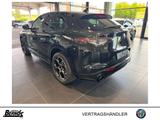 Alfa Romeo Stelvio 2.2 Diesel Q4 Intensa AHK SCHIEBEDACH - Alfa Romeo Stelvio Neuwagen
