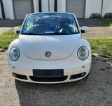 Volkswagen Beetle - gebrauchte VW Beetle aus dem Jahr 2008