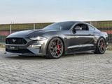 Ford Mustang GT*EDELBROCK KOMPR*GT350-BREMSE*SCHALTER - Ford Mustang: 350gt