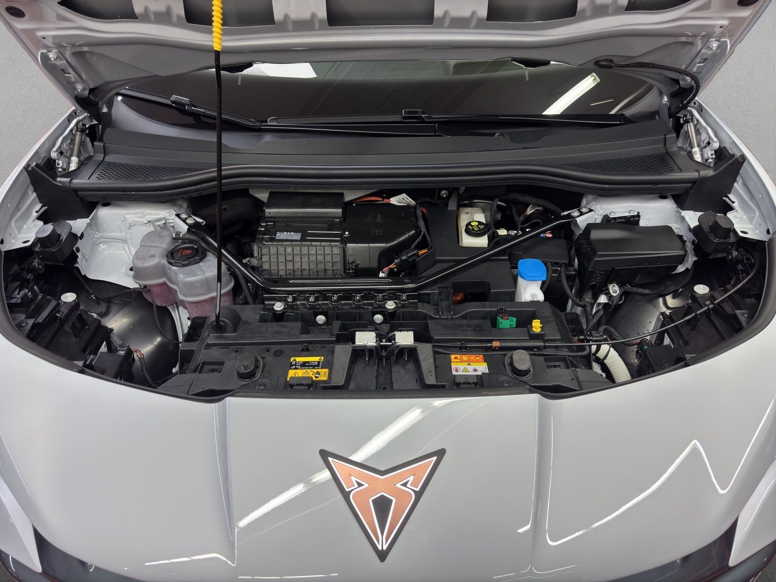 Cupra Tavascan - Bild 19