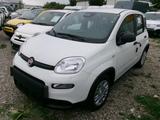 Fiat Panda 5-Sitzer City Paket - Fiat Panda: Sitze