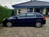 Opel Signum Cosmo Automatik (Navi, Xenon, Leder) - Opel Signum Cosmo