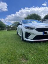 Kia cee'd / Ceed 1.6 T-GDI GT GT - Kia cee'd / Ceed: Weiß