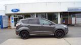 Ford Kuga 1.5 ST-Line AHK+Leder+SYNC+Kamera+SHZ+Temp - Ford Kuga in Mainz