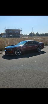 Ford Mustang REGENCY  - Ford Mustang mit Panoramadach