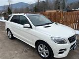 Mercedes-Benz  350 CDI BlueTEC 4MATIC AMG SOFTCLOSE - Mercedes-Benz 350: Leder, mit Navigationssystem