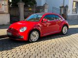 Volkswagen VW New Beetle - Volkswagen New Beetle: Kleinwagen