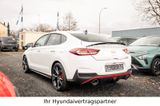 Hyundai i30 N Fastback Performance - Hyundai i30 Tageszulassungen mit Benzin-Antrieb: Sportwagen