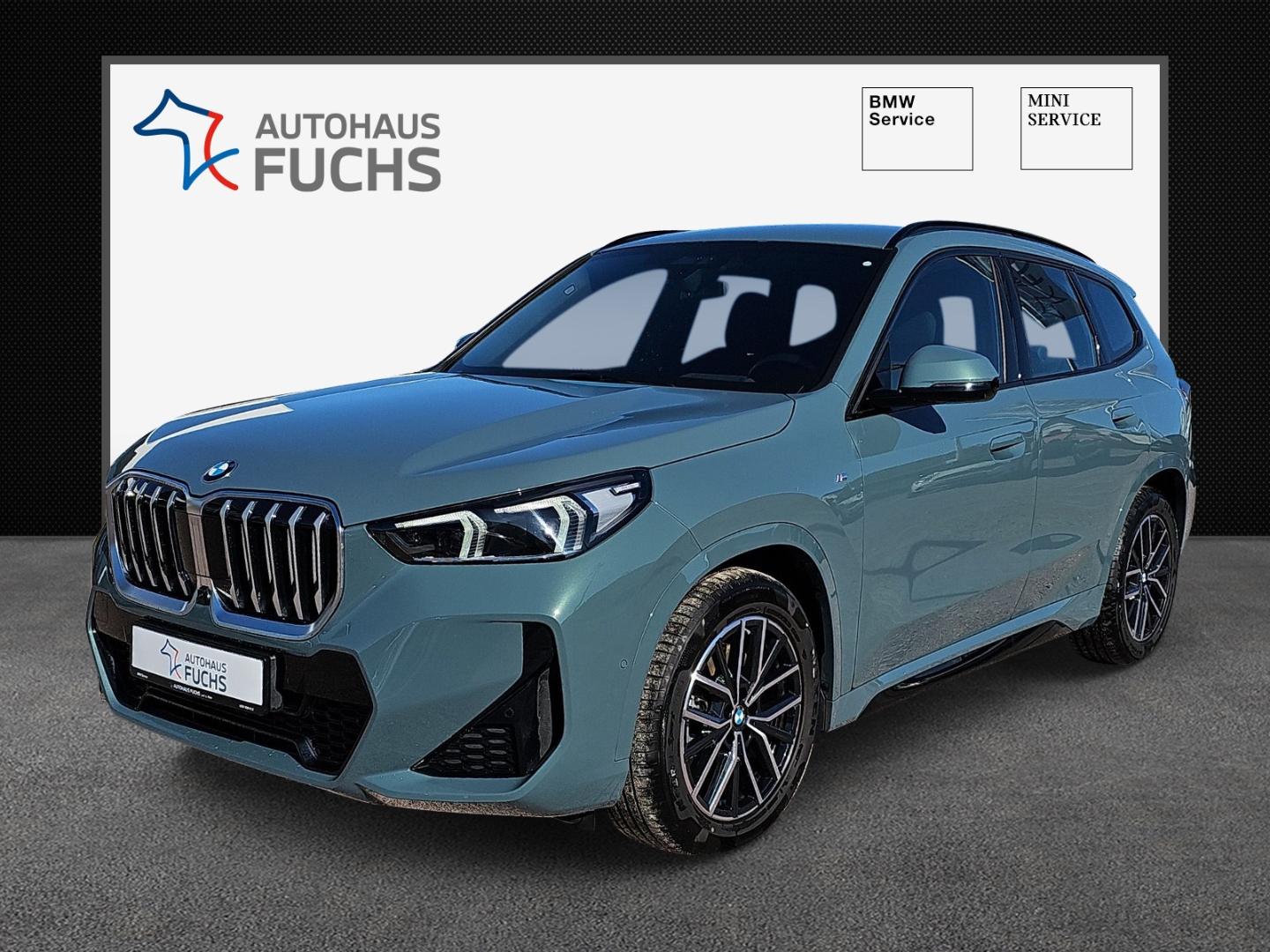 BMW X1 23i xDrive M Sport DrivAssProfessional 360° K