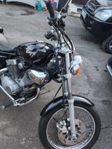Yamaha XV 250 Virago Oldtimer!!!!  - Oldtimer Motorräder