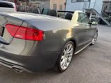 Audi A5 Cabriolet 3.0 TDI Quattro/TÜV Neu. - Audi A5 mit Diesel-Antrieb: Cabrio