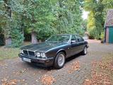 Jaguar XJ40 - Jaguar XJ40 von privat