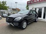 Mercedes-Benz ML 250 CDI BlueTec 4MATIC /Panorama/Totw./Distro - Mercedes-Benz ML 250 aus 2015