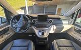 Mercedes-Benz Marco Polo V250d AMG+4MATIC+AHK+Leder+8-fach - Mercedes-Benz Allradantrieb