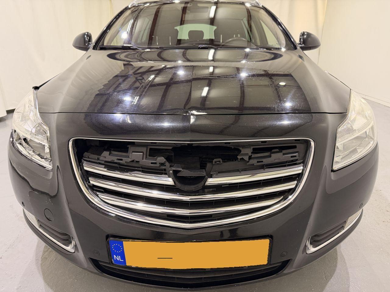 Opel Insignia 2010 — rear view