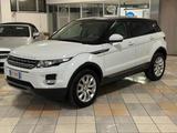 Land Rover LAND ROVER Range Rover Evoque 2.2 TD4 5p. Pure - Land Rover Range Rover Evoque Geländewagen Td4 pure mit Diesel-Antrieb