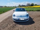 Volkswagen Beetle 1.4 TSI Sport Cabriolet Sport - Volkswagen Beetle mit Benzin-Antrieb: Cabrio, 1.4