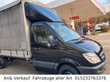 Mercedes-Benz Sprinter II Pritsche /313 CDI Ladebordwand - Mercedes-Benz Tier-/Pferdetransportwagen