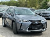 Lexus UX250 Hybrid Luxury Line*Nachlackierungsfrei - Lexus UX Gebrauchtwagen