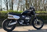 Triumph Scrambler 1200XC - Scrambler - TRIUMPH ENDURO SCRAMBLER