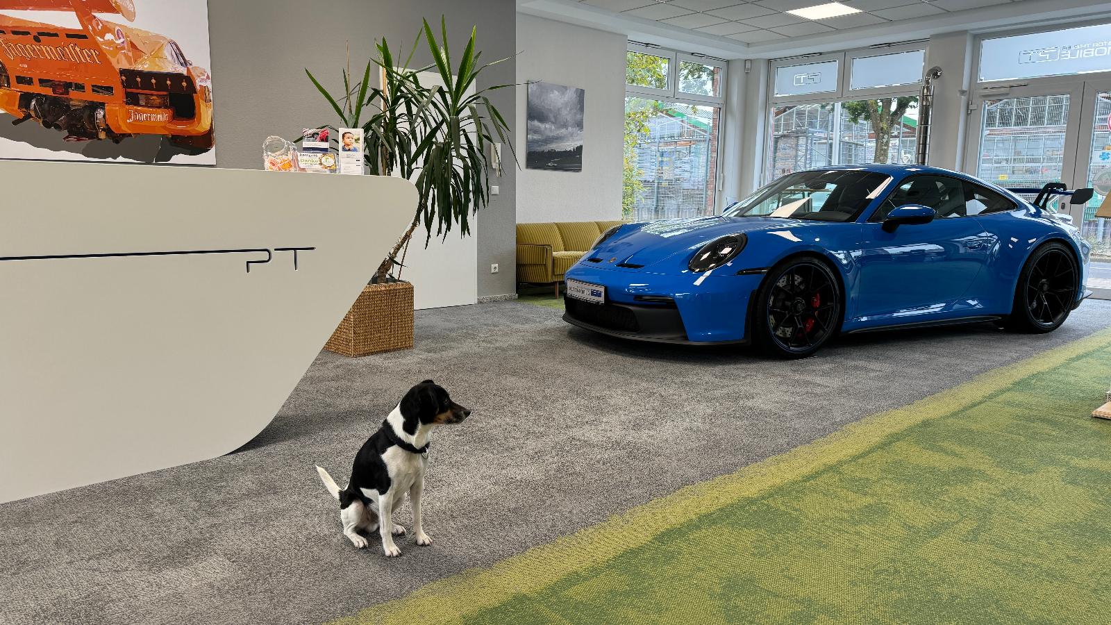 showroom-image-main