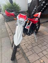 Beta 50 RR Standard  - BETA 50