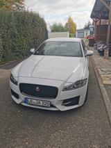 Jaguar XF 30d 300PS Prestige Automatik Prestige - Jaguar XF: Weiß