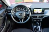 Skoda Kamiq 1.0 TSI DSG 85kW Style - Skoda: 1.8