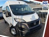 Fiat Ducato Hochr.  33 140 L2H2 3450 mm 9SITZER - Fiat Ducato: Kleinbus, Sitzer 9
