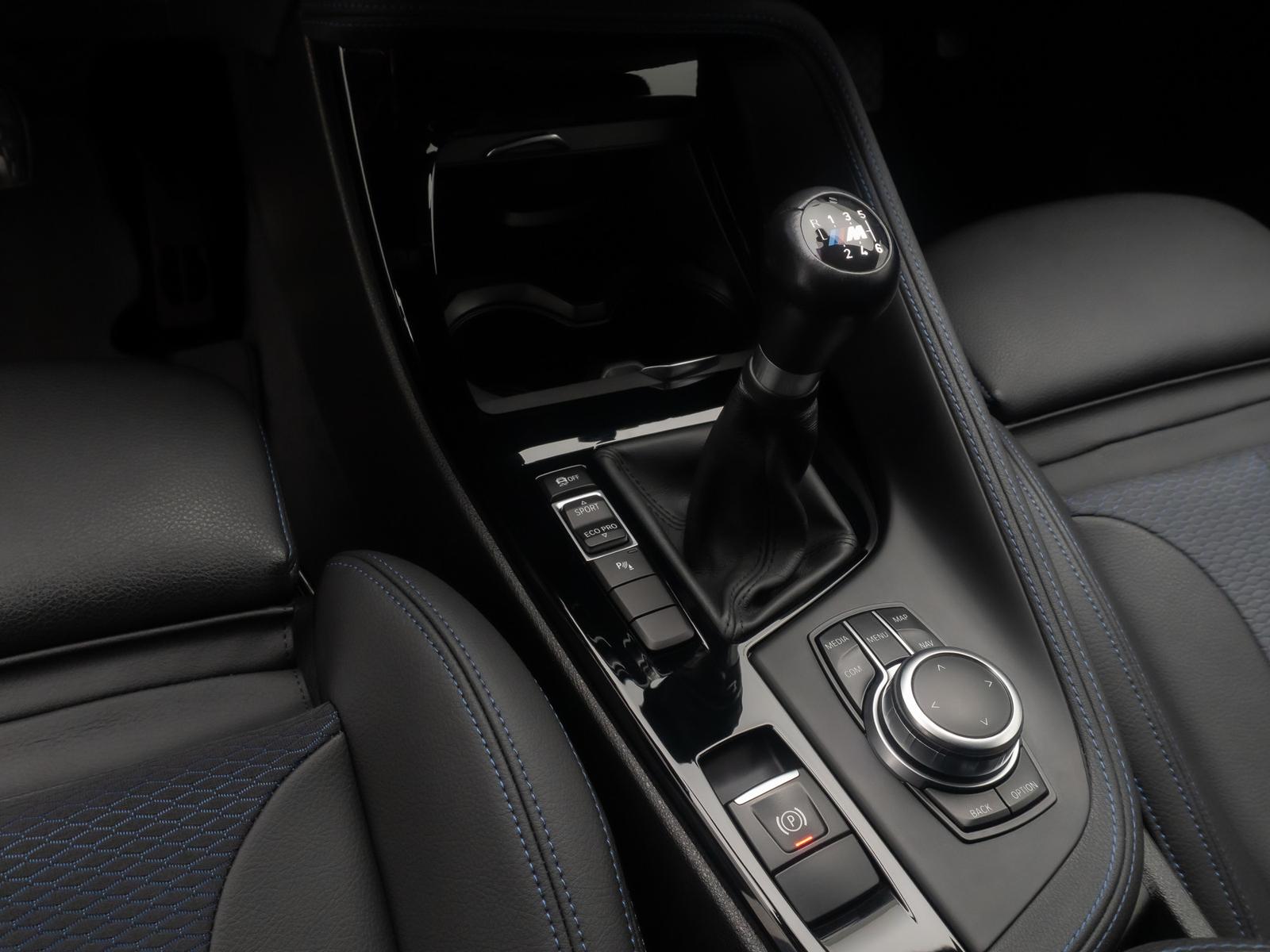 BMW X2 sD18d M Sport GeschwindigReg Kamera DAB 19", миниатюра 22