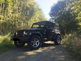 Jeep Wrangler Sport 2.5 Sport - Jeep aus 1999