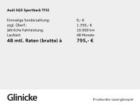 Audi SQ5 - Vorschau Bild 2